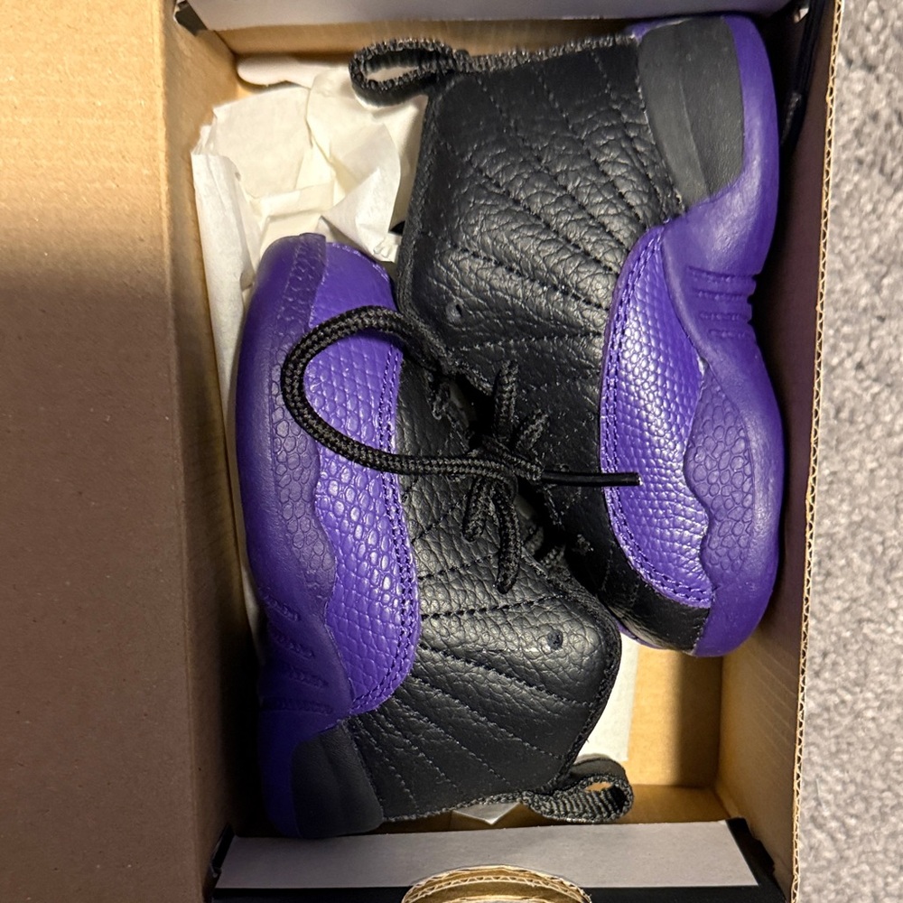 Jordan Retro 12